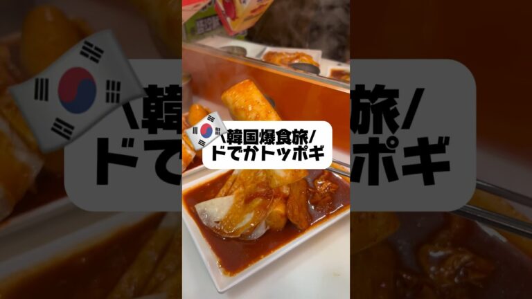 【韓国爆食旅🇰🇷　ドでかトッポギ】#韓国 #韓国旅行 #韓国グルメ #韓国カフェ #渡韓 #日韓カップル #韓国料理 #トッポギ