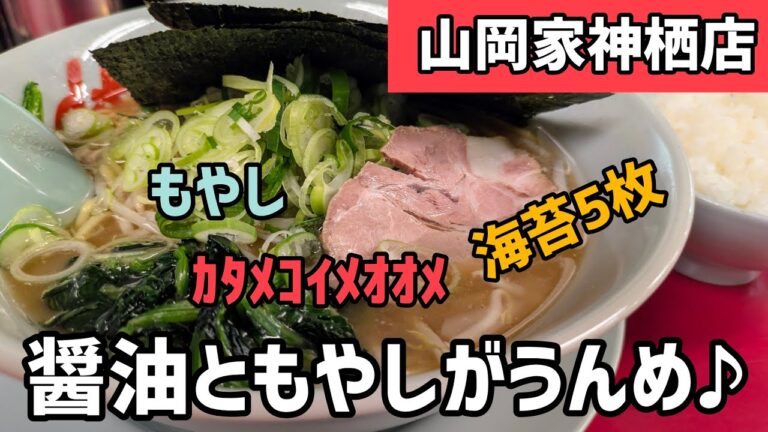 [山岡家]醤油とTPもやしが旨いんだな♪　#醤油ラーメン