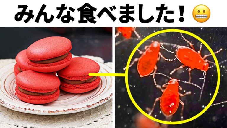 普通の物の秘密の生活：あなたが見逃したもの