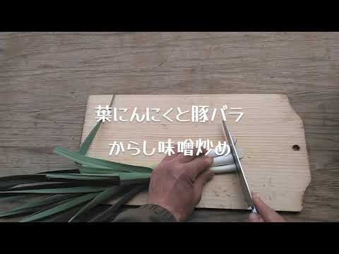 葉にんにく炒め