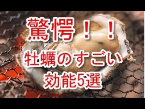 【驚愕】牡蠣の栄養ととんでもない効能5選「海のミルク」の実力とは？