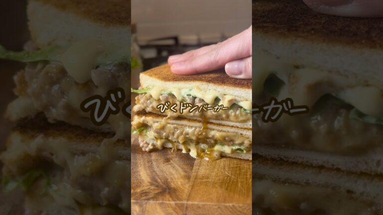 これ革命‼️びくドンバーガー