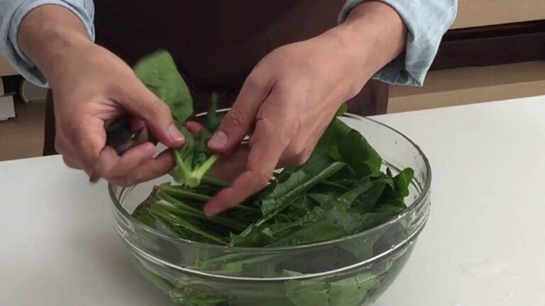 土井善晴の「ほうれん草を洗う時」(short ver)  /【土井善晴の和食アプリ】