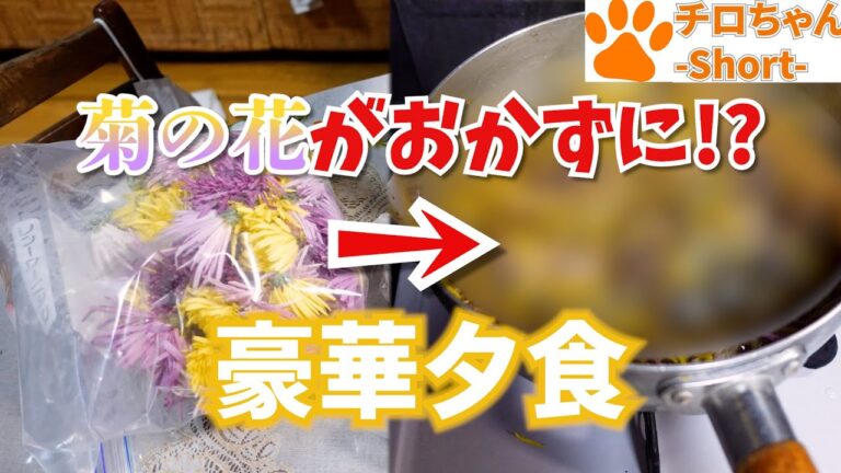 とある日の夕食ヒジリのパンと菊の花のポン酢あえとしいたけのバター炒めと。４K＃shorts