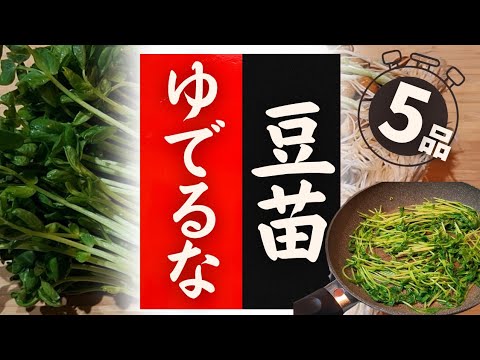 【豆苗】の美味しい食べ方！驚くほど美味しくなる！レシピ5選