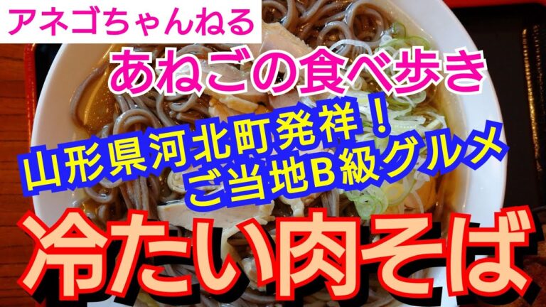 【山形名物！肉そば】山形にきたらこれ食べて！絶品!!冷たい肉そば