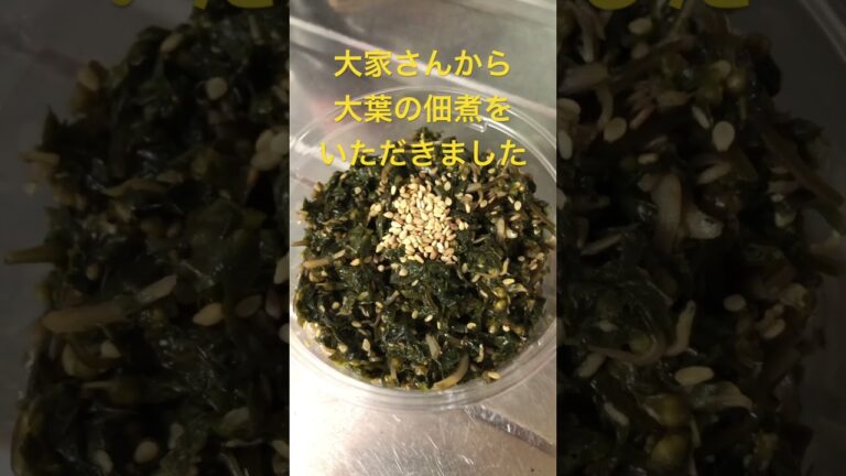 大家さんから大葉の佃煮をいただきました😋　#mayaちゃんねる  #佃煮