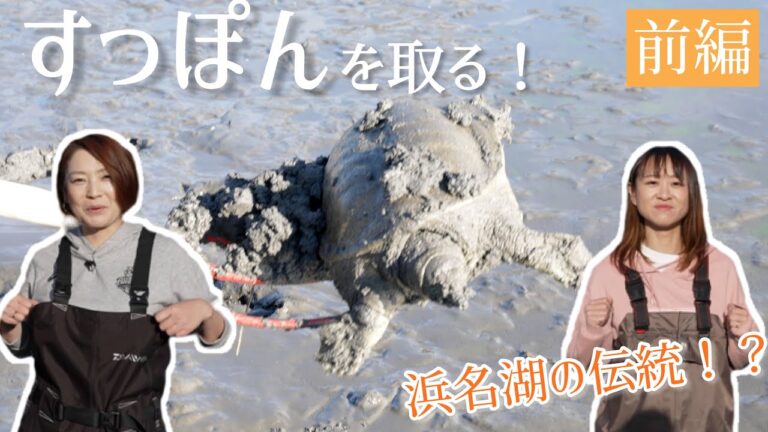 【静岡県/浜松観光】浜松の高級食材　コラーゲンたっぷり！１4０年以上続く浜松・浜名湖のすっぽん