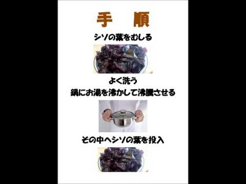 私でもできる　超簡単　シソジュース beefsteak plant juice