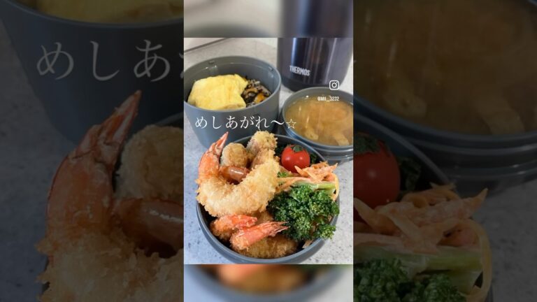 主人弁当⭐︎エビフライ弁当#料理  #お弁当 #子育て #shorts