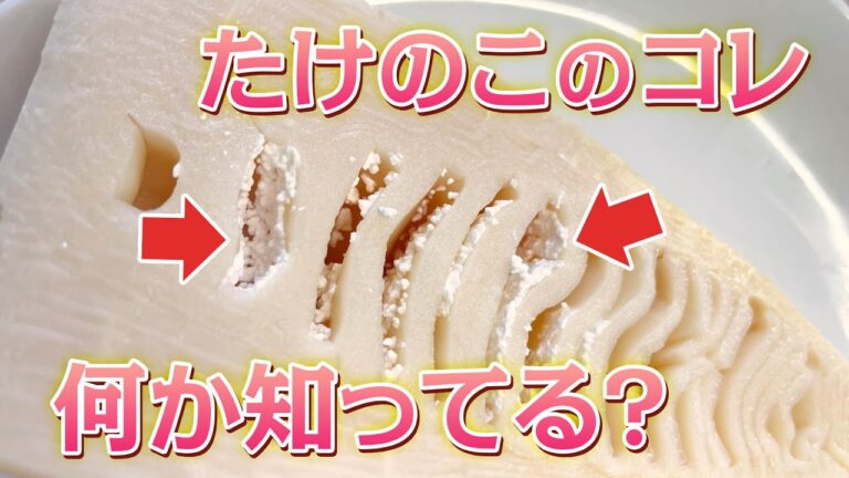 【第71回小話】たけのこ篇＿たけのこの白いポロポの威力