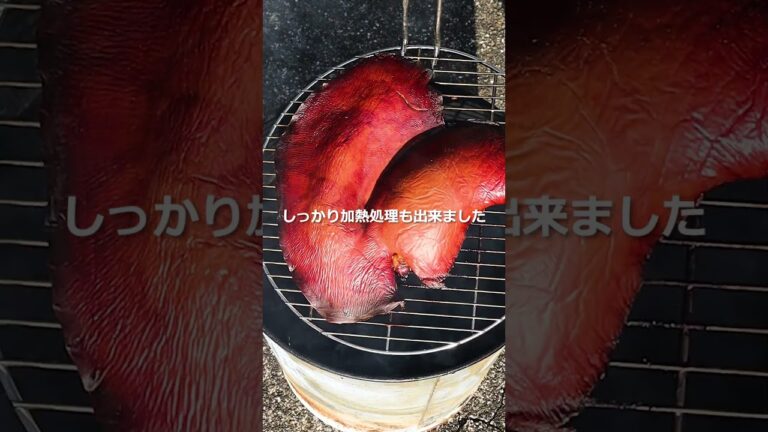 スモークレバー #shorts #pork