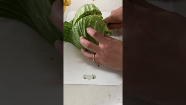 【閲覧注意】買ったキャベツが凄いんだけどなんかの病気？？