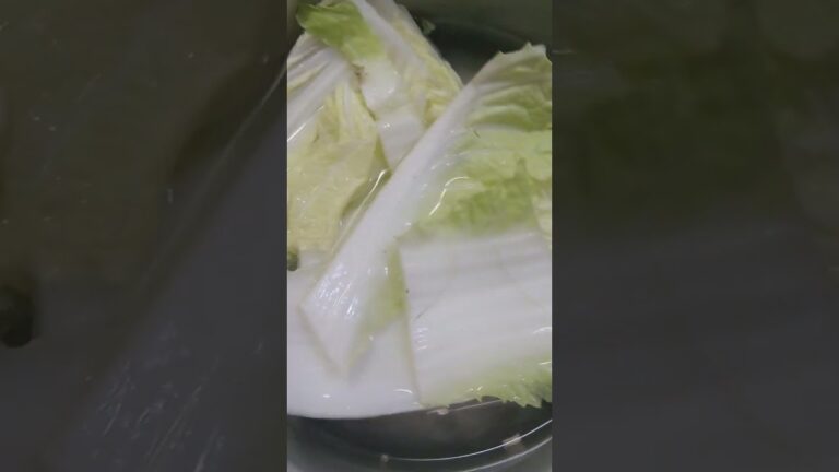 白菜のおひたし★冷水で冷やしてかつおぶし、ポン酢で食べると美味しいですね☺️♪すりごまをかけてもいいですね☺️♪