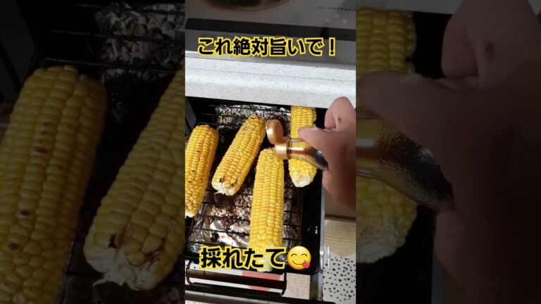 これ絶対旨いやつー😋🍴焼きとうもろこし🌽グリルでめっちゃ簡単