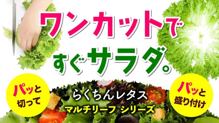 ワンカットですぐサラダ。らくちんレタスマルチリーフⓇシリーズ