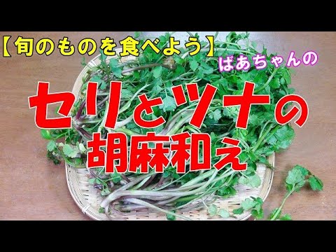 【旬の食材】セリとツナの胡麻和え『季節を感じる味が　たまらなく美味しい！！』Let's eat season's food