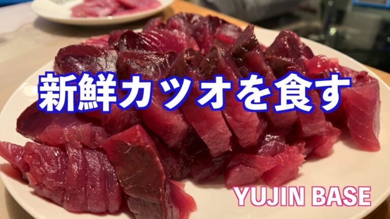 【カツオの刺身】今日15:00に水あげされた新鮮なカツオはいかがですか？