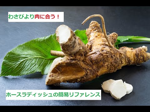 【スパイスを知ろう！】ホースラディッシュを知ろう！【part21】