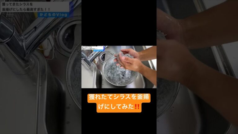 [クッキング]獲れたてのシラスを釜揚げにしたら最高だった‼️これぞ究極のシラス料理‼️