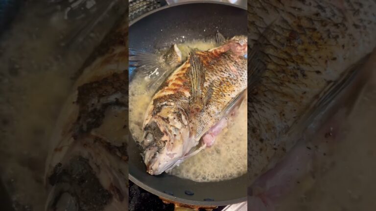 アクアパッツァ！少佐の料理実験、メニュー考案9課 #short #cooking #aquapazza