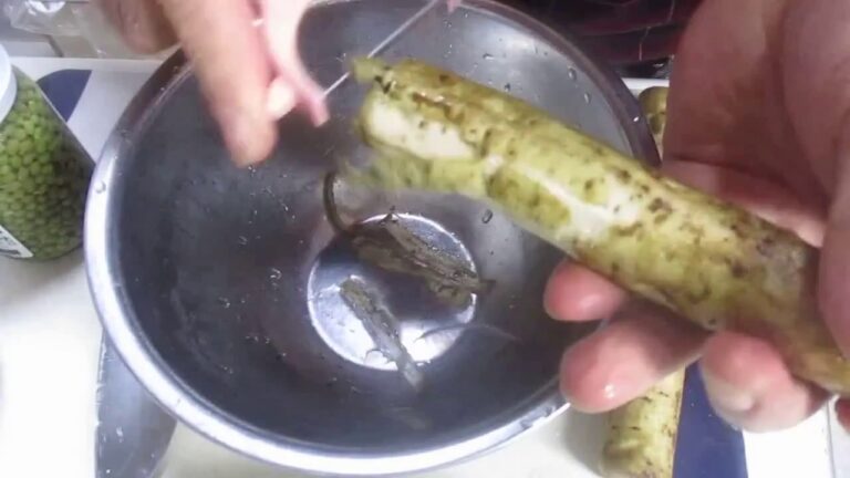 牛肉とゴボウの山椒煮：全編