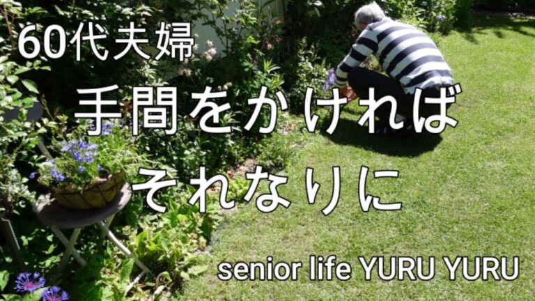 【シニアライフ】手間暇かければいいことも、ハンバーグに挑戦、旬のアスパラを使って、