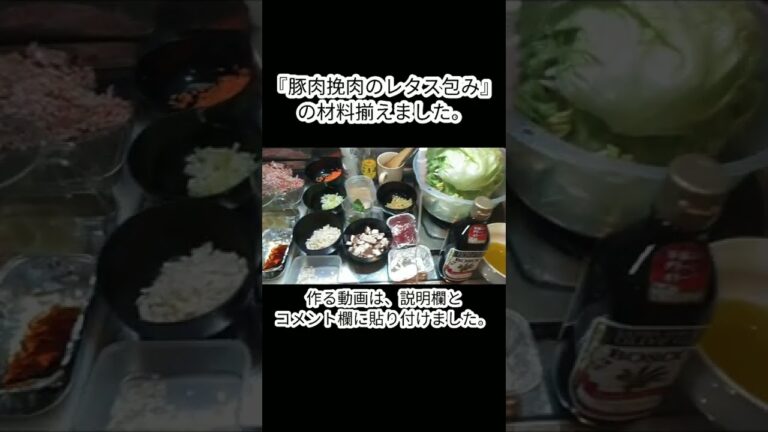 【shorts】『豚肉挽肉のレタス包み』の材料揃えました。生包肉茉
