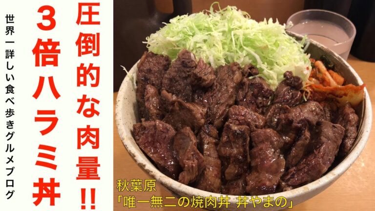 【デカ盛り】秋葉原「丼やまの」でハラミ丼・肉トリプルを世界一詳しく調査！