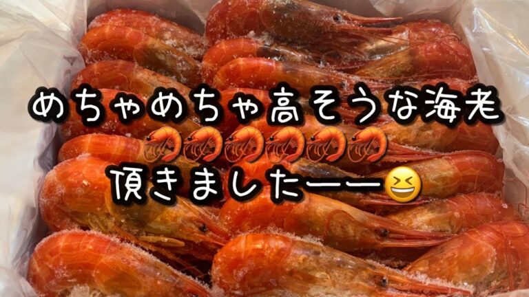ぽちゃ母の夫弁当作り#10「海老の酒蒸し」弁当