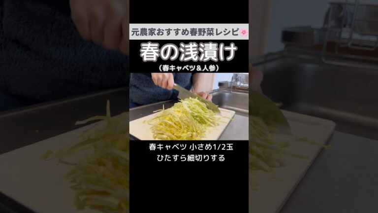 春を味わう！春キャベツの浅漬け｜お酢と白だしでさっぱり