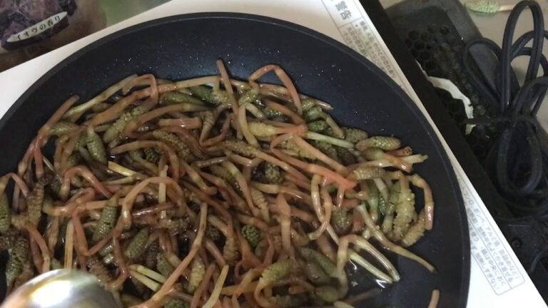 春の野草〜ツクシの佃煮〜