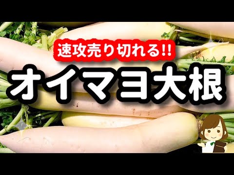 味見で無くなるレベル！『オイマヨ大根』がマジで美味しくて無限にいけちゃう！！Radish Oyster sauce mayonnaise Egg Salad