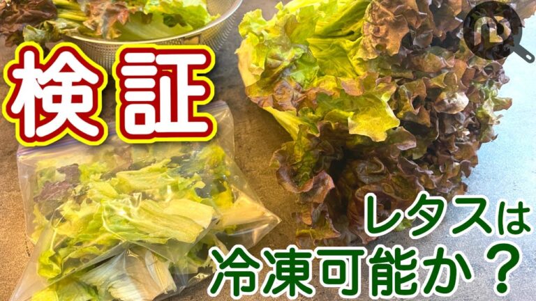 サニーレタスの保存方法　葉物野菜なのに冷凍可能！？　N.D.Kitchen Basic