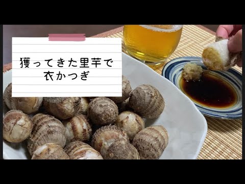 収穫した里芋を蒸して生姜醤油で（きぬかつぎ）。【おつまみ、おかず、おやつ】