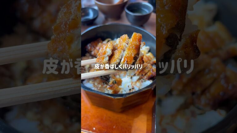【土用の丑の日】鰻vlog略してウナログ