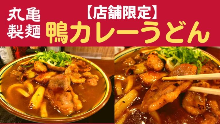 【人類史上、人類が作った最高傑作の動画】丸亀製麺 鴨カレーうどん【店舗限定】