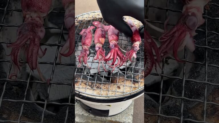 【絶品】イカって海の悪魔やっけ？ #bbq #eating #asmr
