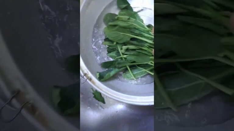 ベビーほうれん草とチーズ(baby spinach with cheese )