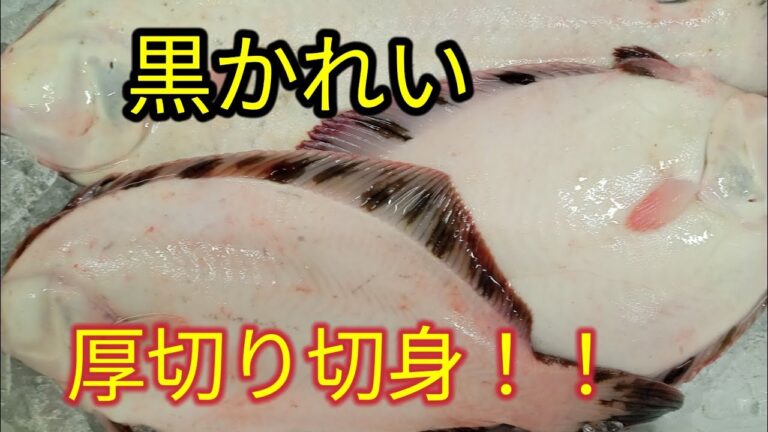 [魚の捌き方]黒カレイ捌き方！！