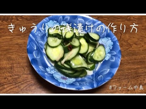 【簡単！】きゅうりの浅漬けの作り方
