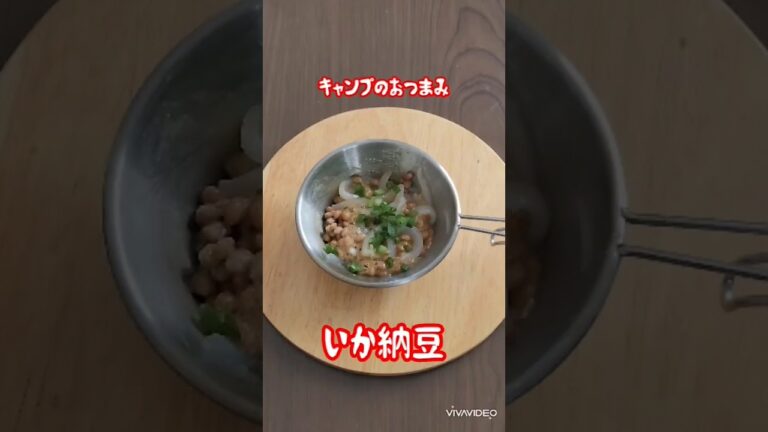 【キャンプのおつまみ】いか納豆