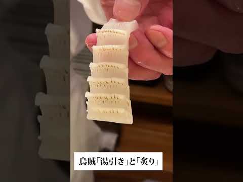 「銀座の親方が握る」烏賊の湯引きと炙り【銀座すしあい田】#shorts