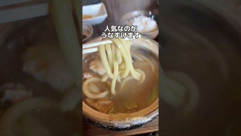 【愛知県一宮市】白味噌味噌煮込みうどん(売切御免)
