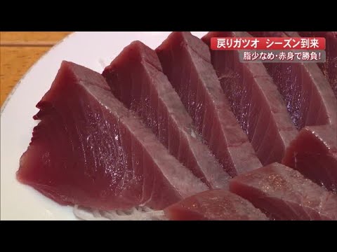 戻りガツオのシーズン到来！今年は脂が少なめ？達人がおいしい赤身の見分け方を伝授【高知】 (22/11/01 19:30)