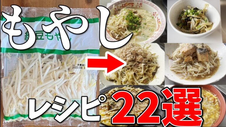 【節約もやし料理】もやしで作れるレシピ22選まとめました。