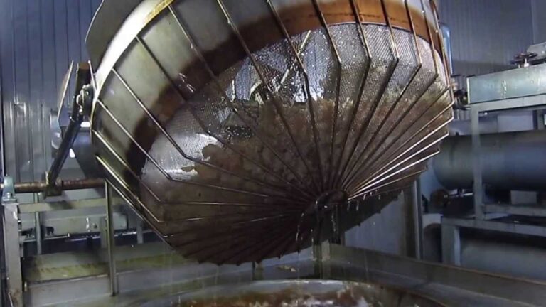 男爵じゃがいものポテトチップ　釜揚げ