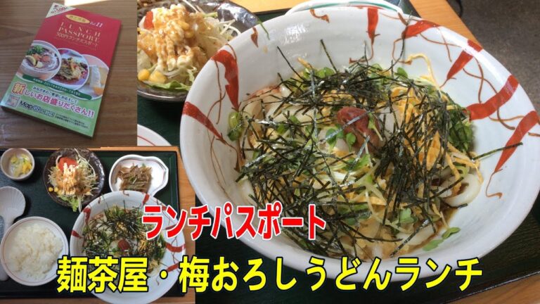 【ランチパスポート西三河版Vol.11】麺茶屋で『梅おろしうどんランチ』☆540円でランチ☆外食・グルメ・ランパス・岡崎市・飲食店・和食・麺処