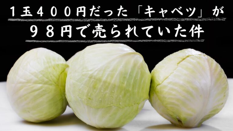 １玉９８円で売られていました。「キャベツ」が安くなってきたので、低糖質レシピを８品を紹介します☆
