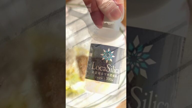 花粉症の症状を緩和！【女性におすすめデリ風レシピ】蓮根とひじきのヨーグルトサラダ